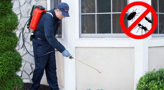 Sütçüler Fare İlaçlama böcek ilaçlama ve haşere kontrolü — ilaclama-tr.com